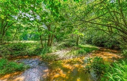 1174 Byrds Curve Road, Elkin, NC 28621