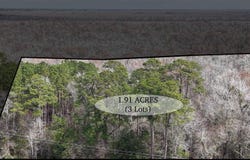 Bucksport Rd., Bucksport, SC 29527