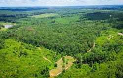 Sweet Water Road, Daviston, AL 36256