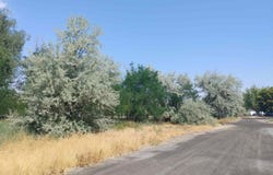 Tbd 1st And Main, Hagerman, ID 83332