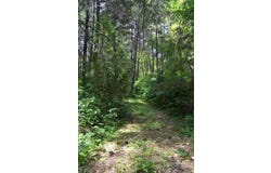 4657 Lower Grave Creek Road, Wolf Creek, OR 97497