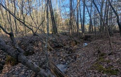 Ivy Log Drive, Blairsville, GA 30546