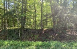 OLD HWY 2 lot: 6, Watersmeet, MI 49938