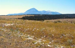 TBD Road 17.9, Cortez, CO 81321