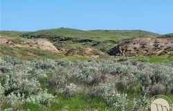 Nickwall Rd, MT 59274