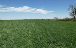 0 US HWY 27 S, Cynthiana, KY 41031