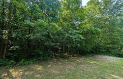 0 Cheyenne Drive, Jamestown, TN 38556