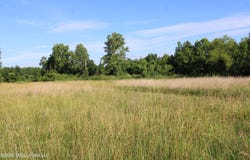 400 Memphis Street, Hernando, MS 38632