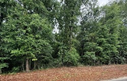 North, SC 29112