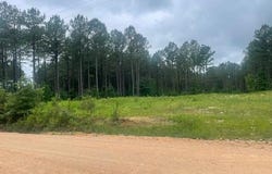 0 Bartlett Road, Reagan, TN 38368