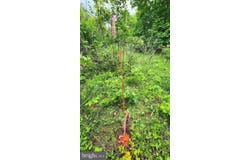 GOKEY ROAD, GREAT CACAPON, WV 25422
