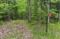 14785 UPHAM Lane, MOUNTAIN, WI 54149-0000