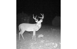 3420 NE County Rd 2596, Sonora, TX 76950