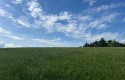 0 Gayle Bolin Road, Albany, KY 42602