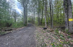 0 Maile Road, Greenfield Twp, PA 18407