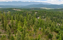 2265 Mountain Home Road, Whitefish, MT 59937