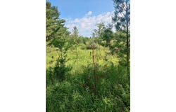 M 72, Luzerne, MI 48636