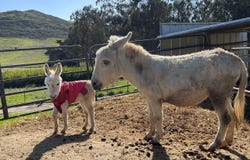 1498 O’Connor Way, San Luis Obispo, CA 93405
