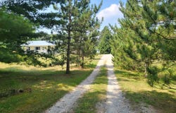 5612 Watson Road, Rose City, MI 48654