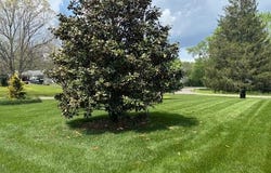 247 Valley Lane, Crossville, TN 38555