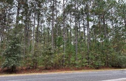 Whispering Pines Dr lot: 19, Rochelle, GA 31079