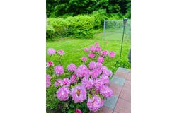 14 Touissant Avenue, Yonkers, NY 10710
