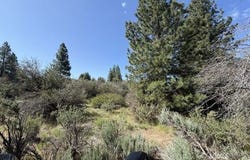 Lakeland Road, Chiloquin, OR 97624