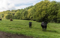 2542 County Road P, Verona, WI 53593