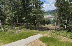 485 Cedarledge Road, Lampe, MO 65681