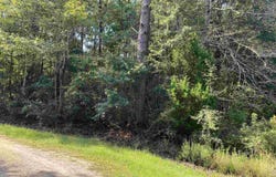Lot 69 Shady Bayou Ln, Milton, FL 32583