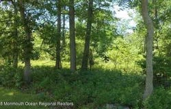 0 E Black Horse, Mays Landing, NJ 08330