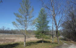 475 Loretto Rd., Springfield, KY 40069