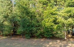 3171 Salem Road, Watkinsville, GA 30677