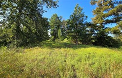333 County Road 3092, De Berry, TX 75639