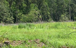 0 WARREN, PITTSVILLE, MD 21850