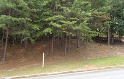 3533 Lake Ridge Drive, Gainesville, GA 30506