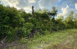 4057 Columbia Highway N, Ridge Spring, SC 29129