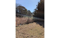 2541 Haynesville Hwy., Parkers Chapel, AR 71730