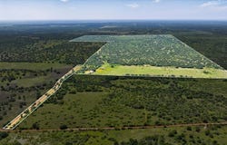 3676 Red Ln, Mason, TX 76856
