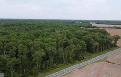 Lot 2 Cedar Grove Church Road, Felton, DE 19943