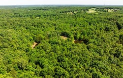 100  Phyllis Dr, Charlotte, AR 72522