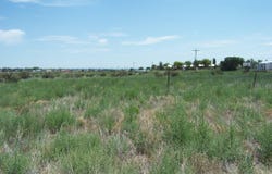 Hillcrest, Edgewood, NM 87015