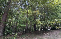 201 Stonebridge Boulevard, Bremen, GA 30110