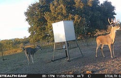 Tbd County Road 294N, Early, TX 76802