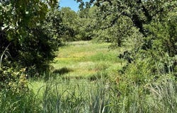 120 Nocona Drive, Nocona, TX 76255