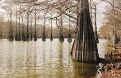 0 Bridges Ave, Glendora, MS 38928
