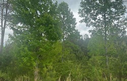 L231 Ridge Point Way, Blairsville, GA 30512