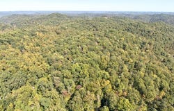 Cow Creek Road, Stanton, KY 40380