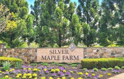 420 WINTERBERRY DR, MIDDLETOWN, DE 19709