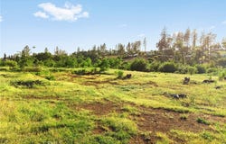 5078 Wilderness Way, Paradise, CA 95969